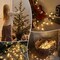 Perfect Holiday 20 LED CRACKLE BEADS STRING LIGHTS, INDOOR,WARM WHITE